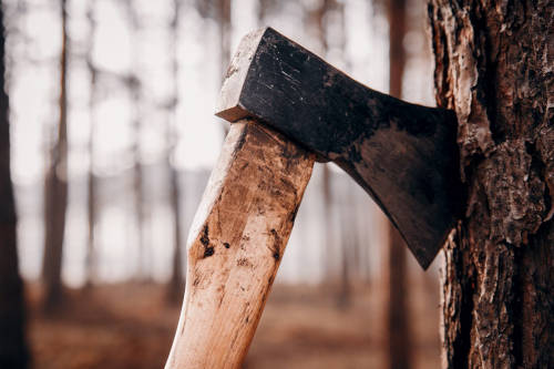 in the woods we see an image of an axe stuck into a tree.